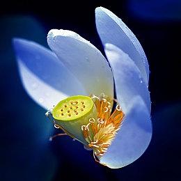 GOG平台限时免费送出经典冒险游戏《闪回》